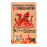 Odourless Natural Eco Firelighters - Box of 50