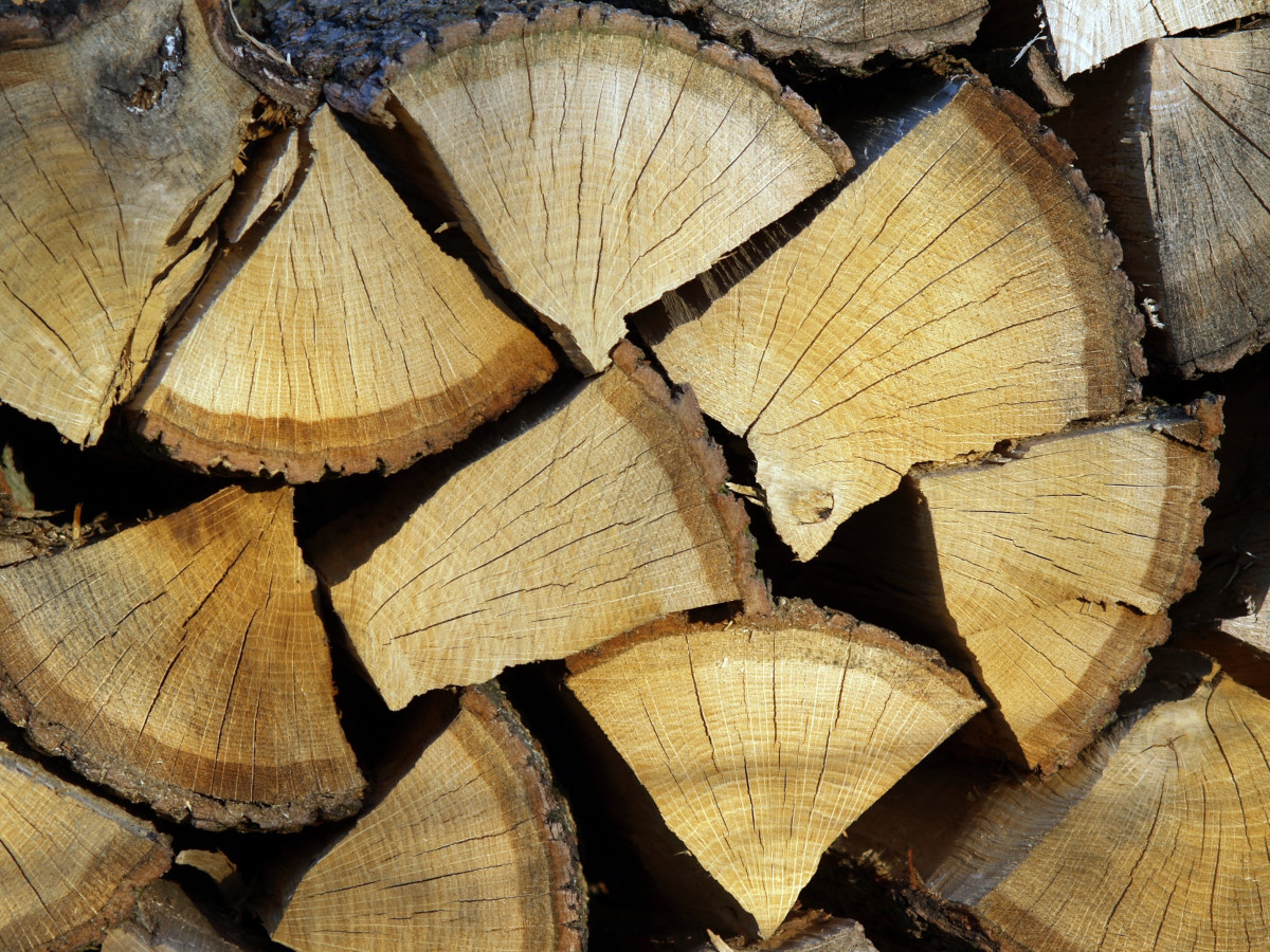 Pile of Split Logs